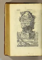 An illustration from Inscriptiones sacrosanctae vetustatis non illae quidem Romanae, sed totius fere orbis summo studio ac maxiimis impensis terra mariq[ue] conquisitae feliciter incipiunt. (1534)