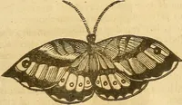 An illustration from Insectorum sive minimorum animalium theatrum: olim ab Edoardo Wottono, Conrado Gesnero, Thomaque Pennio inchoatum: tandem Tho. Movfeti Londinâtis operâ sumptibusq; maximis concinnatum, auctum, perfectum: et ad vivum expressis iconibus suprà quingentis illustratum (1634)