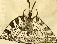 Picture 62 of 184 from Insectorum sive minimorum animalium theatrum: olim ab Edoardo Wottono, Conrado Gesnero, Thomaque Pennio inchoatum: tandem Tho. Movfeti Londinâtis operâ sumptibusq; maximis concinnatum, auctum, perfectum: et ad vivum expressis iconibus suprà quingentis illustratum (1634), leaf 129