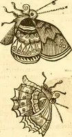 An illustration from Insectorum sive minimorum animalium theatrum: olim ab Edoardo Wottono, Conrado Gesnero, Thomaque Pennio inchoatum: tandem Tho. Movfeti Londinâtis operâ sumptibusq; maximis concinnatum, auctum, perfectum: et ad vivum expressis iconibus suprà quingentis illustratum (1634)