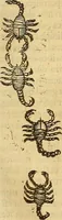 An illustration from Insectorum sive minimorum animalium theatrum: olim ab Edoardo Wottono, Conrado Gesnero, Thomaque Pennio inchoatum: tandem Tho. Movfeti Londinâtis operâ sumptibusq; maximis concinnatum, auctum, perfectum: et ad vivum expressis iconibus suprà quingentis illustratum (1634)