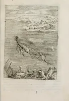 An illustration from Insegnamenti del viuere (1672)