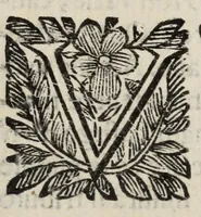 An illustration from Insegnamenti del viuere (1672)