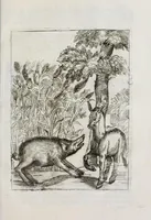 Picture 32 of 43 from Insegnamenti del viuere (1672), leaf 159