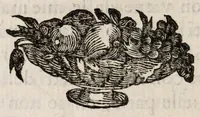 An illustration from Insegnamenti del viuere (1672)