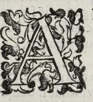 Picture 36 of 43 from Insegnamenti del viuere (1672), leaf 181