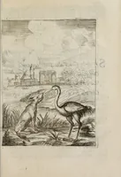 An illustration from Insegnamenti del viuere (1672)