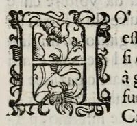 An illustration from Insegnamenti del viuere (1672)