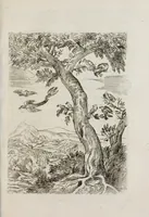 An illustration from Insegnamenti del viuere (1672)