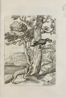 An illustration from Insegnamenti del viuere (1672)