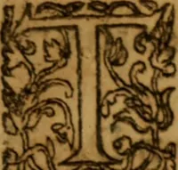 An illustration from In Selectos Aliquot Psalmos Davidis, Roberti Rolloci Scoti, Ecclesiæ Edimburgensis Ministri, Commentarivs (1610)