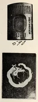 An illustration from Inshu Ikeda koshaku-ke onzohin nyusatsu (1919)