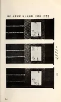 An illustration from Inshu Ikeda koshaku-ke onzohin nyusatsu (1919)