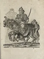 Picture 14 of 30 from Insignia sacrae caesareae maiestatis, principvm electorvm, ac aliqvot illvstrissimarvm, illvstrium, nobilium, & aliarum familiarum, formis artificiosissimis expressa : addito cuiq[ue] peculiari symbolo, & carmine octasticho, quibus cum ipsum insigne tum symbolum ingeniosè, ac sine vlla arrogantia vel mordacitate, liberaliter explicantur : his adiecta svnt totidem vacva (vti appellant) scuta, vt alij quoq[ue], quib. hoc institutum placebit, suae etiam gentis imagines penicillo adijcere possint .. (1579), leaf 219