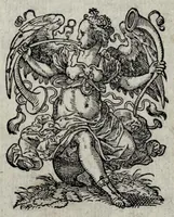 Picture 1 of 30 from Insignia sacrae caesareae maiestatis, principvm electorvm, ac aliqvot illvstrissimarvm, illvstrium, nobilium, & aliarum familiarum, formis artificiosissimis expressa : addito cuiq[ue] peculiari symbolo, & carmine octasticho, quibus cum ipsum insigne tum symbolum ingeniosè, ac sine vlla arrogantia vel mordacitate, liberaliter explicantur : his adiecta svnt totidem vacva (vti appellant) scuta, vt alij quoq[ue], quib. hoc institutum placebit, suae etiam gentis imagines penicillo adijcere possint .. (1579), leaf 7