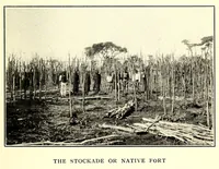 Picture 7 of 17 from In South Central Africa : being an account of some of the experiences and journeys of the author during a stay of six years in that country (1912), leaf 123