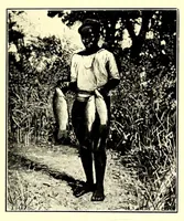 Picture 8 of 17 from In South Central Africa : being an account of some of the experiences and journeys of the author during a stay of six years in that country (1912), leaf 133