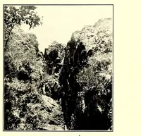 An illustration from In South Central Africa : being an account of some of the experiences and journeys of the author during a stay of six years in that country (1912)