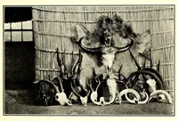 Picture 13 of 17 from In South Central Africa : being an account of some of the experiences and journeys of the author during a stay of six years in that country (1912), leaf 223