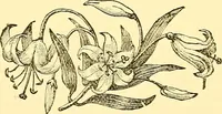 An illustration from Inspirational lectures and impromptu poems (1884)
