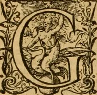 Picture 8 of 8 from Institutie ofte onderwiisinghe in de Christelicke religie .. (1602), leaf 684