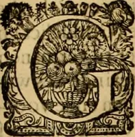 An illustration from Institutie ofte onderwiisinghe in de Christelicke religie .. (1645)