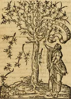 An illustration from Institutio christianae religionis .. (1559)