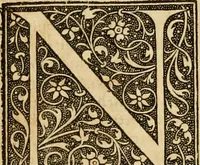 An illustration from Institutio christianae religionis .. (1559)