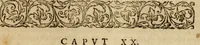 An illustration from Institutio Christianae religionis (1612)