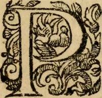 Picture 66 of 66 from Institutio Christianae religionis (1612), leaf 1090