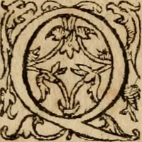 Picture 20 of 66 from Institutio Christianae religionis (1612), leaf 251
