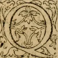 Picture 23 of 66 from Institutio Christianae religionis (1612), leaf 332