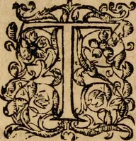 Picture 7 of 66 from Institutio Christianae religionis (1612), leaf 35