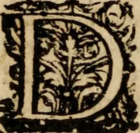 Picture 25 of 66 from Institutio Christianae religionis (1612), leaf 351