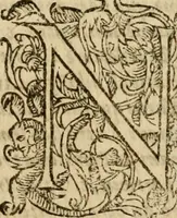 Picture 32 of 66 from Institutio Christianae religionis (1612), leaf 397