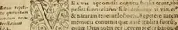 Picture 33 of 66 from Institutio Christianae religionis (1612), leaf 401