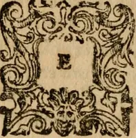 Picture 35 of 66 from Institutio Christianae religionis (1612), leaf 493