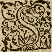 Picture 36 of 66 from Institutio Christianae religionis (1612), leaf 503