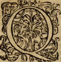 Picture 2 of 66 from Institutio Christianae religionis (1612), leaf 6