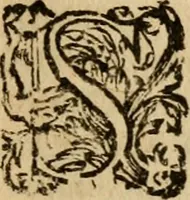 Picture 49 of 66 from Institutio Christianae religionis (1612), leaf 714