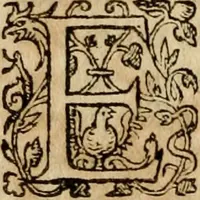 Picture 50 of 66 from Institutio Christianae religionis (1612), leaf 731