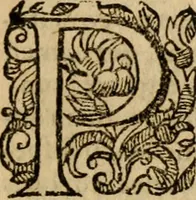 Picture 14 of 66 from Institutio Christianae religionis (1612), leaf 74