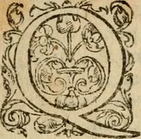 Picture 54 of 66 from Institutio Christianae religionis (1612), leaf 771