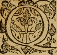 An illustration from Institutio Christianae religionis (1576)