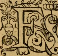 An illustration from Institutio Christianae religionis (1576)