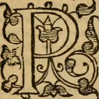 An illustration from Institutio Christianae religionis (1576)