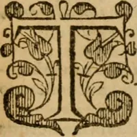 An illustration from Institutio Christianae religionis (1576)