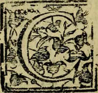 An illustration from Institutiones iuris canonici quibus ius pontificium singulari methodo libris quatuor comprehenditur (1606)