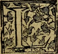 An illustration from Institutiones iuris canonici quibus ius pontificium singulari methodo libris quatuor comprehenditur (1606)