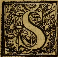 An illustration from Institutiones juris Anglicani : ad methodum et seriem institutionum imperialium compositae & digestae. Opus non solum juris Anglicani Romanique in hoc regno studiosis, sed omnibus qui politeian & consuetudines inclyti nostri imperii penitius scire cupiunt, utile & accommodatum (1676)